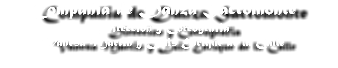 Compañia de Danza Sacromonte Direccion y Coreografia Vanesa Martin y Luis Enrique de la Calle